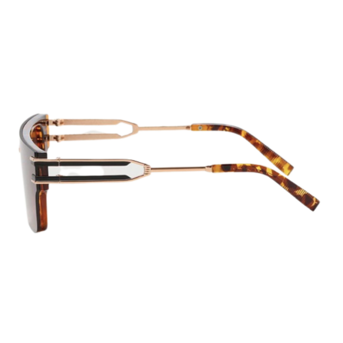 The Gidon TORTOISESHELL