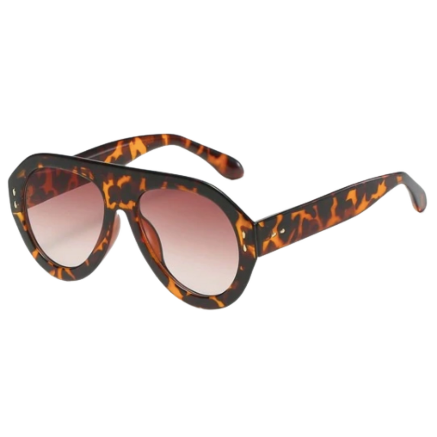 The Dan TORTOISESHELL