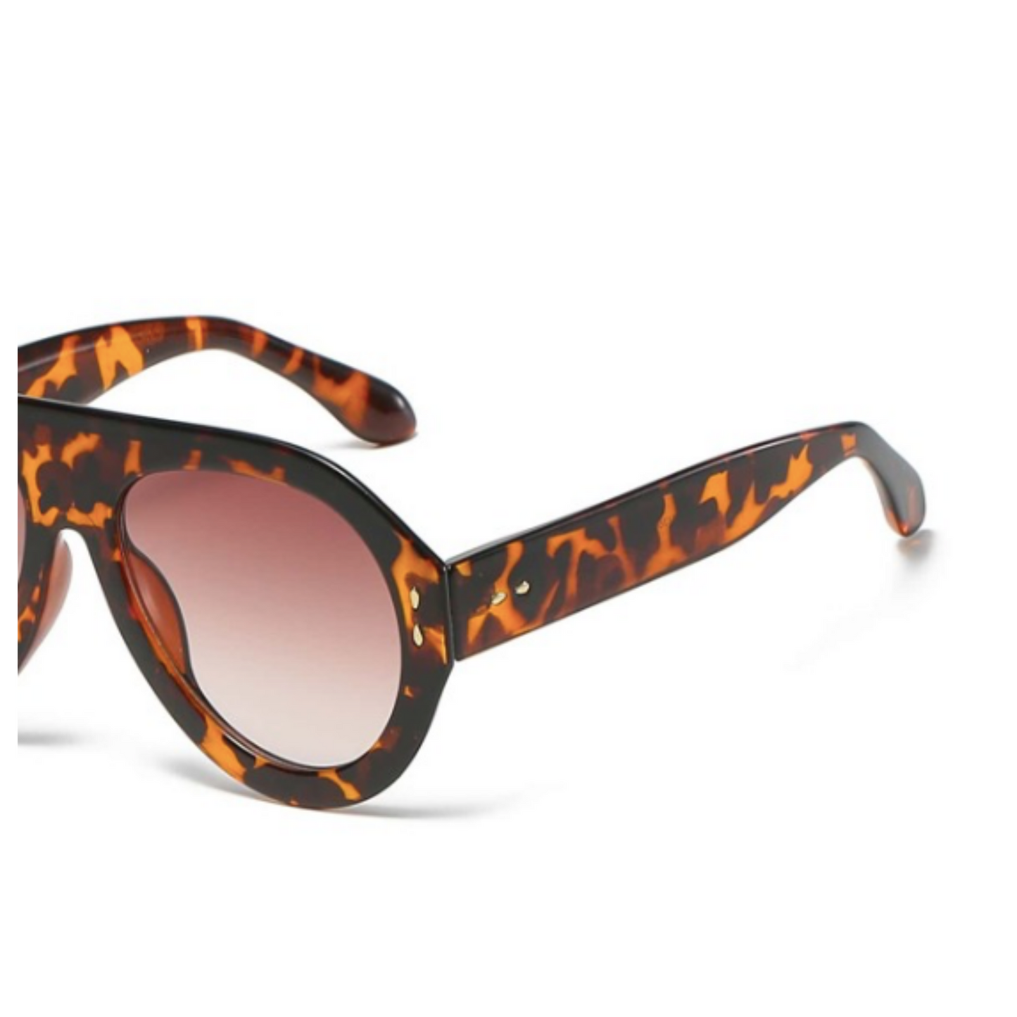 The Dan TORTOISESHELL