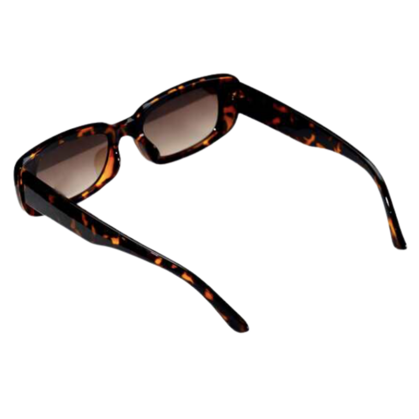 The Amy TORTOISESHELL